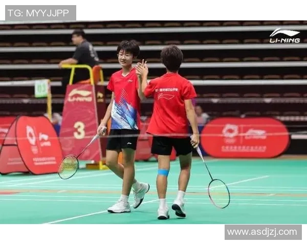 南京羽毛球队在邀请赛中的表现分析与状态评估
